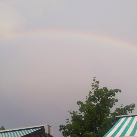 Vorgartenmarkt Pop up Messe Kulturfest Schmankerlpfad Stuwerviertel