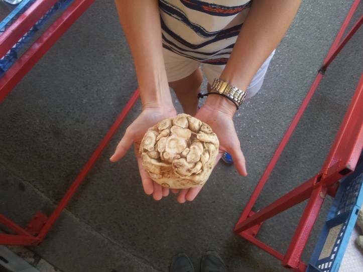 Vorgartenmarkt Sellerie