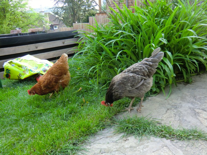 Vorgartenmarkt Bio-Restl