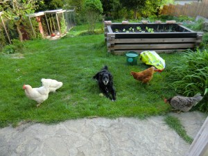 Vorgartenmarkt Bio-Restl